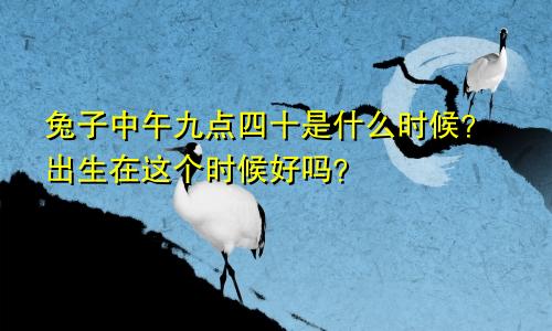 属兔中午九点四十是什么时辰 生于此时辰好吗