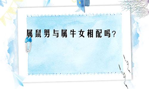 属鼠男人和属牛女人相配吗