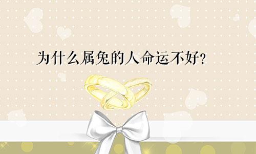为什么属兔的人命运不好