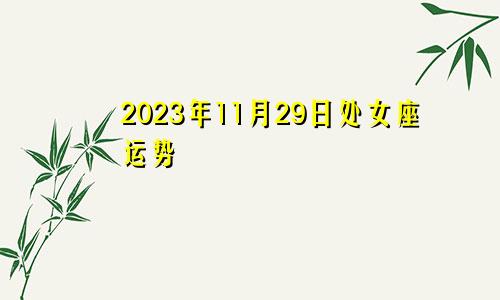 处女座2023年11月29日运势