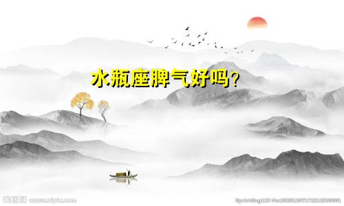 水瓶座脾气好吗？