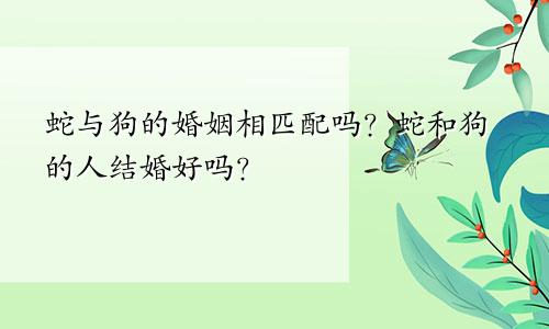 属蛇与属狗的婚姻相配吗 属蛇和属狗的人结婚好不好