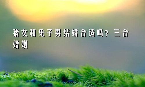 属猪女与属兔男婚配合适吗 三合婚姻