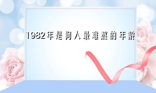 1982年属狗人最难熬年龄