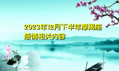 摩羯座2023年12月下半年感情相关内容