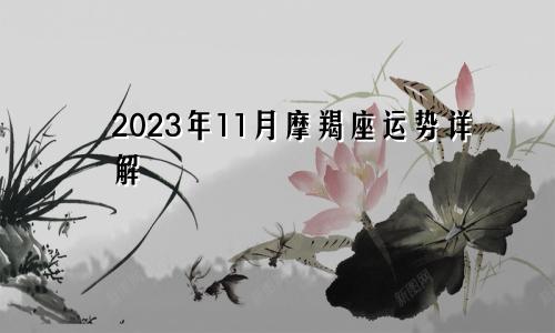 摩羯座2023年11月运势详解