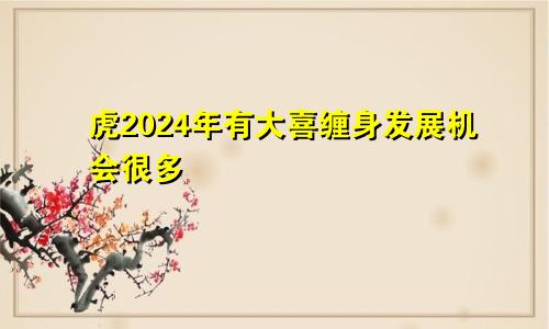 虎2024年有大喜缠身 有很多发展的机会