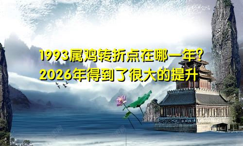 1993属鸡转折点在哪一年 2026年得到很大的提升