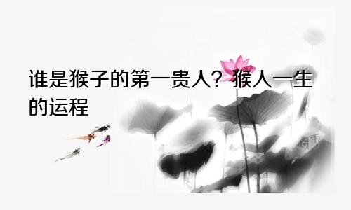 猴的第一贵人是谁 属猴人的一生运程