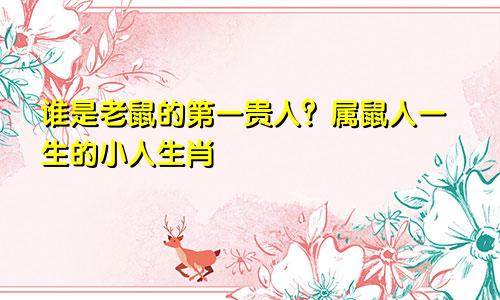 鼠的第一贵人是谁 属鼠人一生的小人生肖