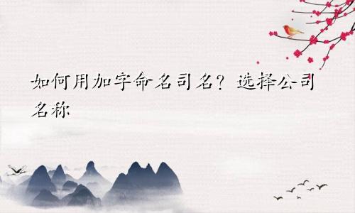司名字带加字怎么起名字 公司取名字精选