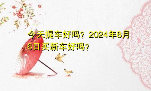 今日提车好吗 2024年8月6日购置新车好不好