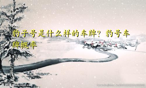 什么样的车牌是豹子号 车牌豹子号概率