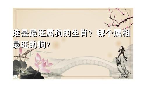 谁是最旺属狗的生肖？ 哪个属相最旺的狗？